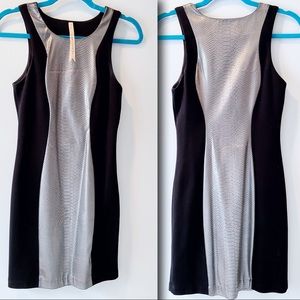 Sexy Black and Silver Snakeskin Dress